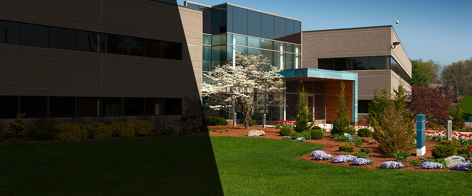 Henderson Landscapers